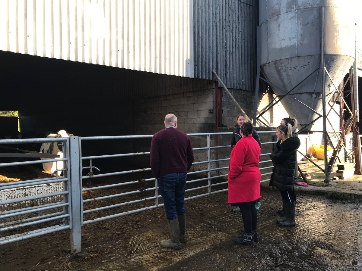 RuralInsurance's tweet image. It’s been a morning of training for our new #farm underwriters. Stepping out of the office and onto a local #beef &amp;amp; #sheep farm to understand the complexities of the risks they underwrite on a daily basis…..and it was a great day for it too, such beautiful #autumnal weather!