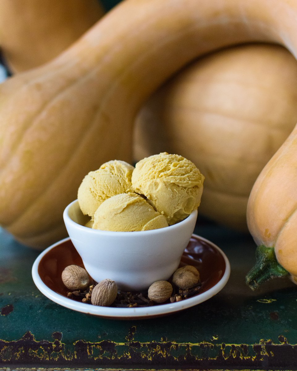 ⚡️CROOKNECK PUMPKIN is back ⚡️Tastes like an earthier, more pumpkiny, pumpkin pie. Subdued sweetness, with the deep flavor of the pumpkin on show. Made with crookneck pumpkins from our friends at @toigoorchard, in stores now. #dolcezzagelato