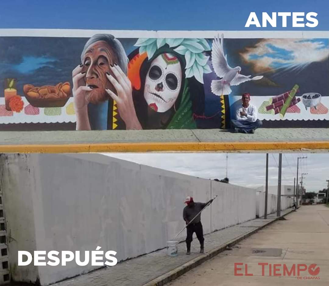 VíaLibreNoticias tweet media