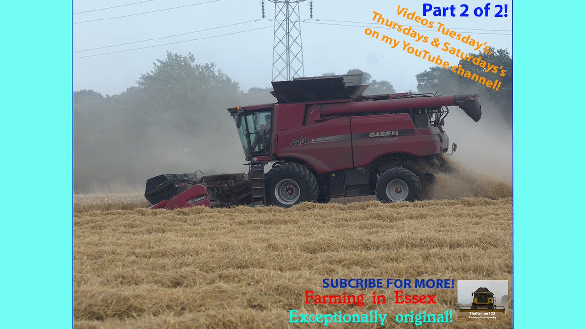 TheFarmer123YT's tweet photo. Farming in Essex - Harvesting barley with Case Axial-flow 8230 harvester &amp; NEW Massey Ferguson S7720 carting. Part two of two. [19]. Video live on my channel - Check it out https://t.co/pWaLnwGLcs Thanks 👍��� @CaseIH_UK_IRE @MF_EAME #Case #CaseCombine #CaseAxialFlow https://t.co/UMVYEFROUv