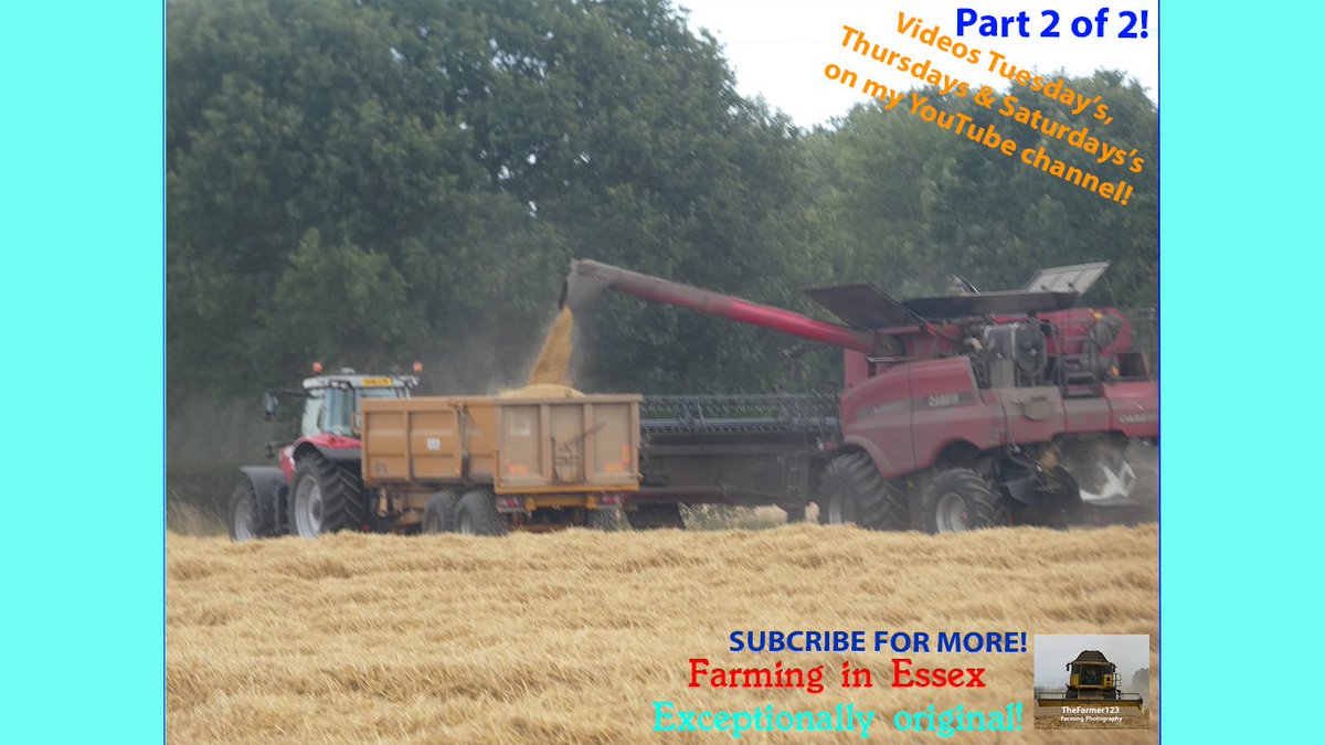 TheFarmer123YT's tweet photo. Farming in Essex - Harvesting barley with Case Axial-flow 8230 harvester &amp; NEW Massey Ferguson S7720 carting. Part two of two. [19]. Video live on my channel - Check it out https://t.co/pWaLnwGLcs Thanks 👍��� @CaseIH_UK_IRE @MF_EAME #Case #CaseCombine #CaseAxialFlow https://t.co/UMVYEFROUv