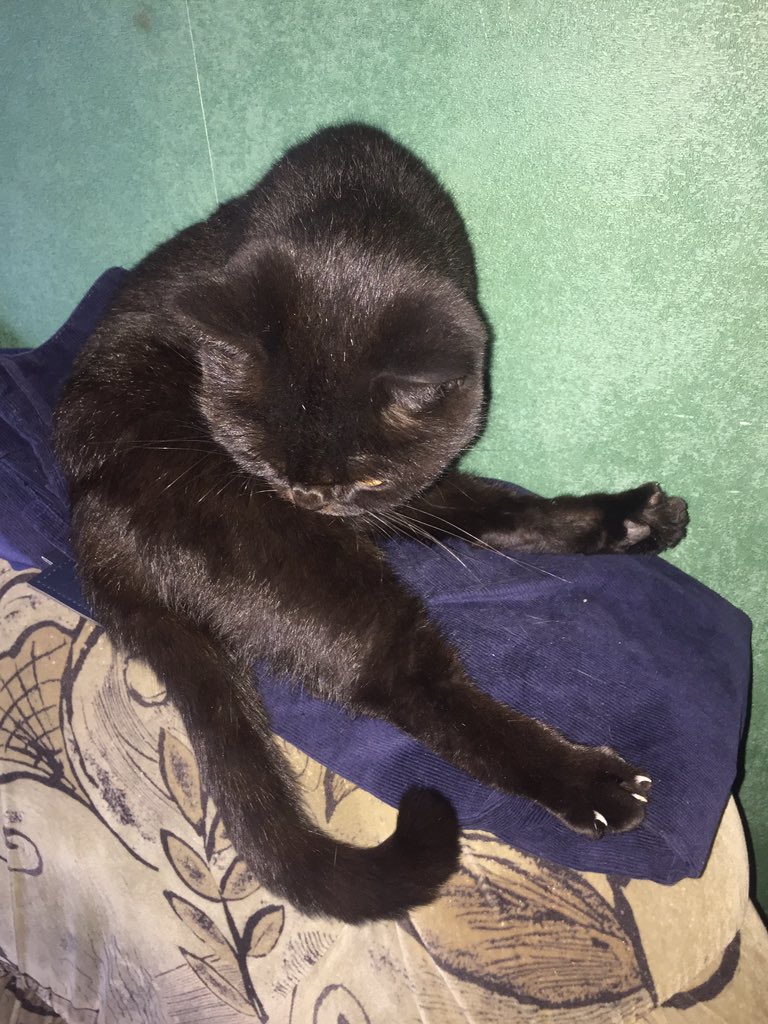 Считаю, что эти фото должны завируситься