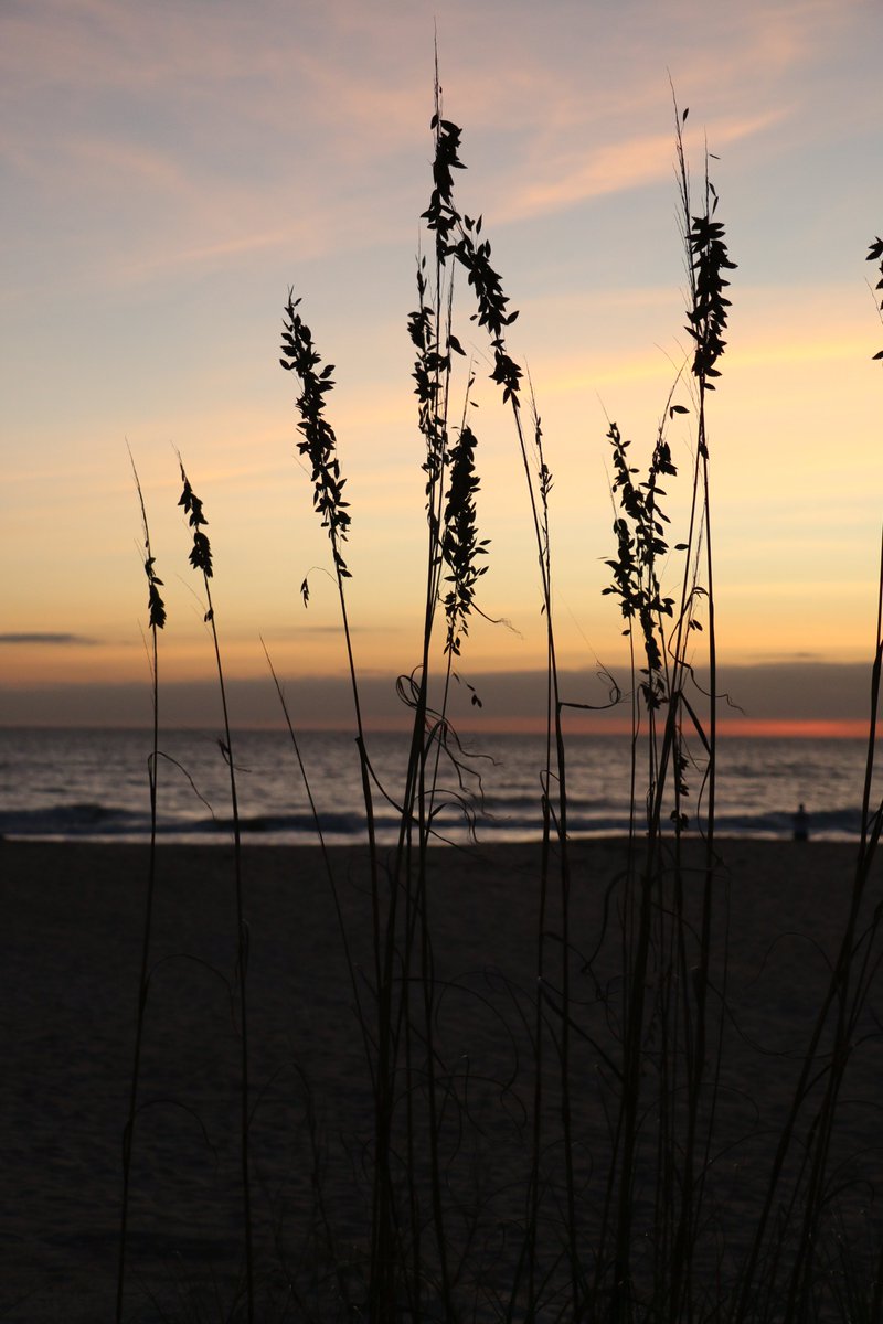 Florida Law Enforcement PIO Association tweet media