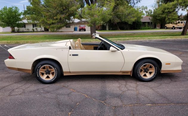 barnfinds's tweet image. #Autoform Speedster: 1983 #Chevrolet Camaro Z28 #AutoformCamaro #AutoformSpeedster #CamaroZ28 #ChevroletCamaro #Chevy 
barnfinds.com/?p=315577