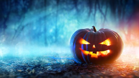 mitchjackson's tweet photo. Halloween is the most dangerous day of the year for child pedestrian deaths. Extra precautions are necessary to ensure the safety of children. Here's what you and your family need to know (feel free to share with others).
https://t.co/qz2X5b49kD
#halloween #childsafety https://t.co/Cw5ig09D2c