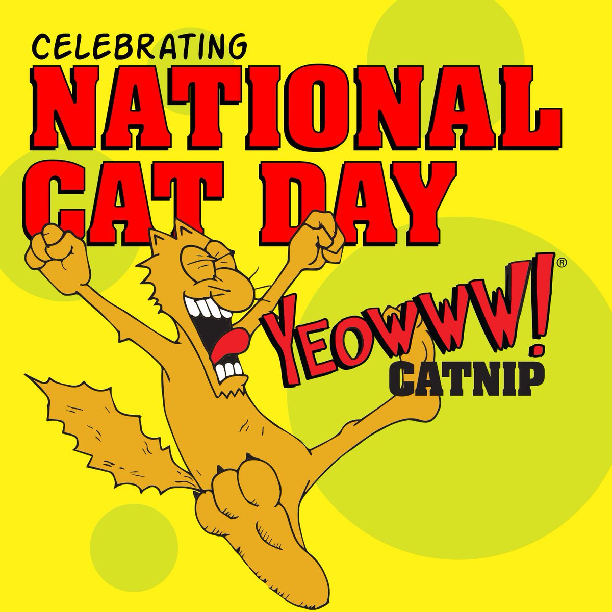 YeowwwCatnip's tweet image. Happy National Cat Day! How are you celebrating? #NationalCatDay #YeowwwCatnip