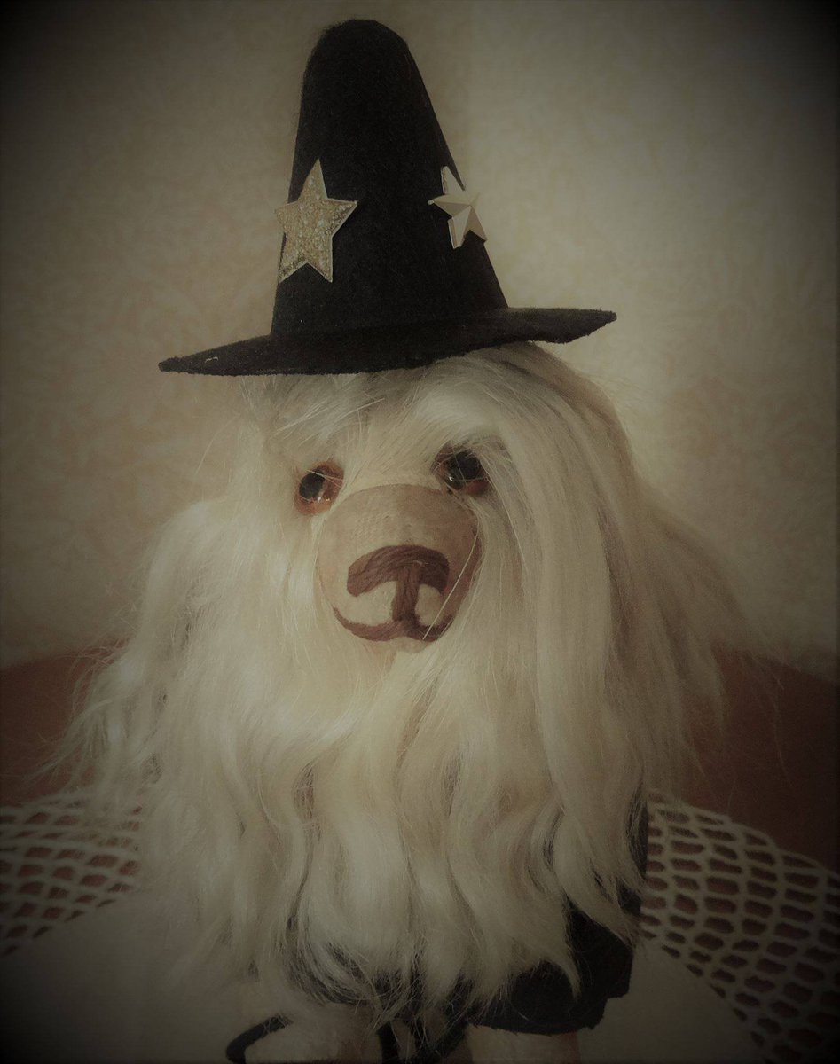 sbmaxeyhouse's tweet photo. Trick or Treat with Livingston is this Thursday!
The Maxey House will have Halloween Crafts and games for all to enjoy! To prevent any tricks, there will also be treats! Come and have a spooktacular time with us!
#TrickorTreat #Livingston #BestTimeOfTheYear #MaxeyHouse #SBMH https://t.co/Tn89ohiRDt