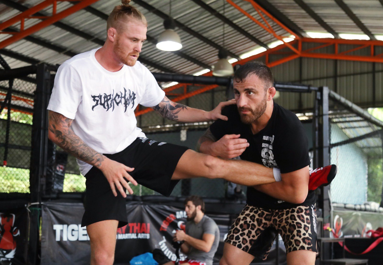 Frank Hickman and Alex Volkanovski wrestle during a Tiger Muay Thai practice