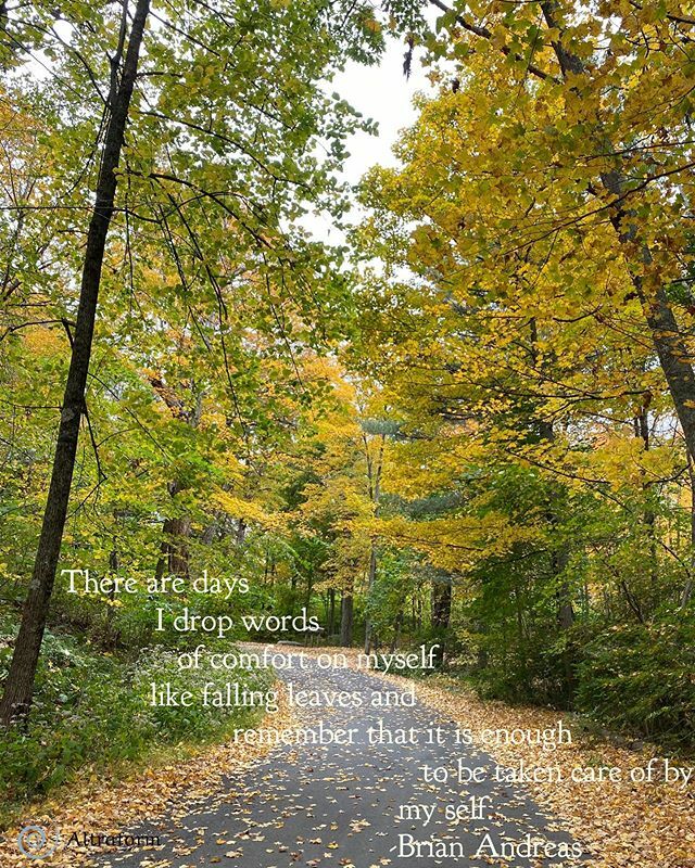 #mindfulness #altraform #meditation #somedays #autumnleaves #selfcare ift.tt/2BP6drU