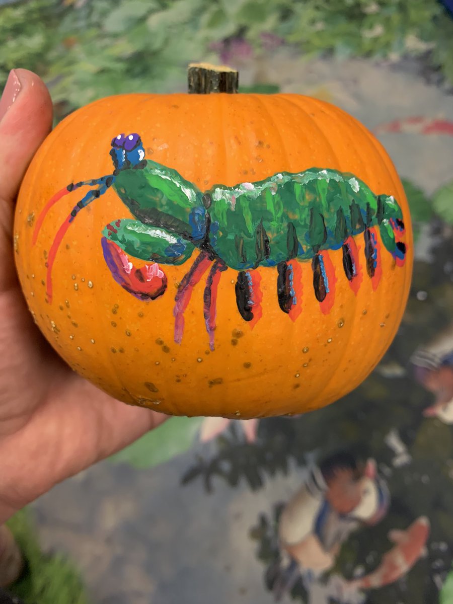 The_Kelli_Fish's tweet photo. @AmySciComm @SolomonRDavid Is it cheating to paint? https://t.co/tFKyG7ds0o