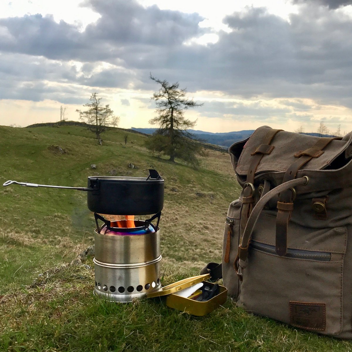 Wild Stoves tweet media