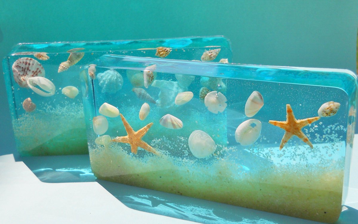 shellcltr tweet picture
