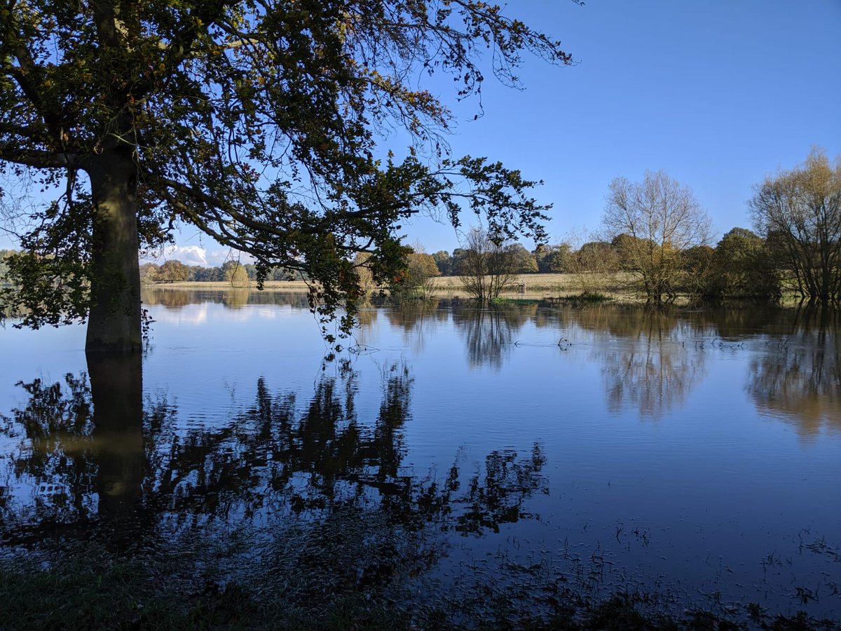 The last few days have made for the most beautiful images on Facebook of the #flooding in and around #Shrewsbury. Nature at its worst and best. Taken today at #Attingham/#Atcham. 
Considered having any of your #photography reproduced on #coasters, #placemats or #mugs great #gifts