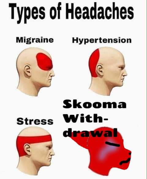 wownerdkitty's tweet photo. This one's skoomalicious memes https://t.co/qSb9Ffo0gk