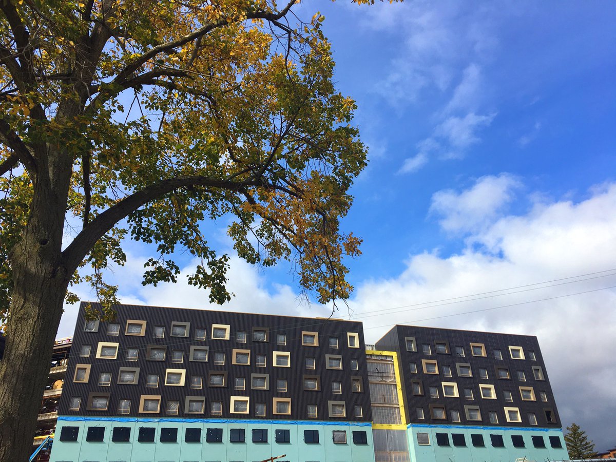 WMU_CAS's tweet photo. Changes in campus and seasons🐴🍂 #AroundWMU https://t.co/iZQcvA6wSy