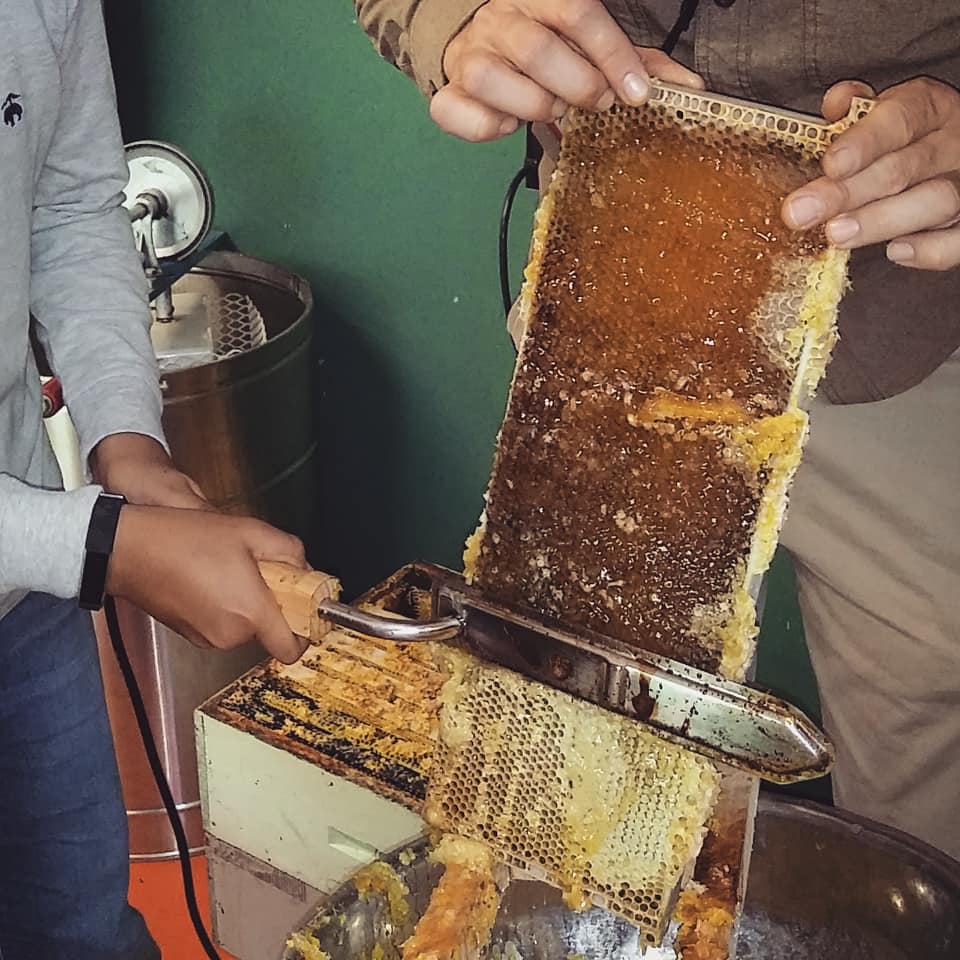 Brave_River's tweet image. ... after checking out the hives &amp;amp; looking for the Queens it was time to try our hands at the extraction process! #BraveRiver #Initiative #BeekeepingClass