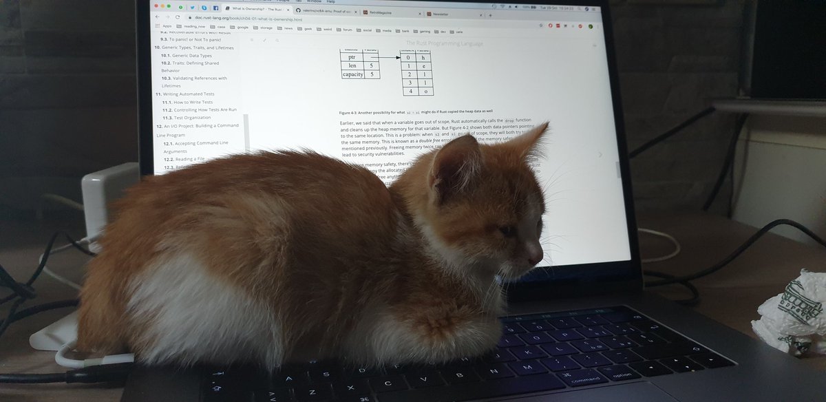 learning Rust supported by a new friend ❤️