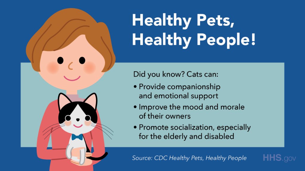HHSGov's tweet image. From improving moods, to providing emotional support, to promoting socialization, cats can offer a host of health benefits. No wonder why they&apos;re such purr-fect companions! 😸 bit.ly/36fFvGZ #NationalCatDay