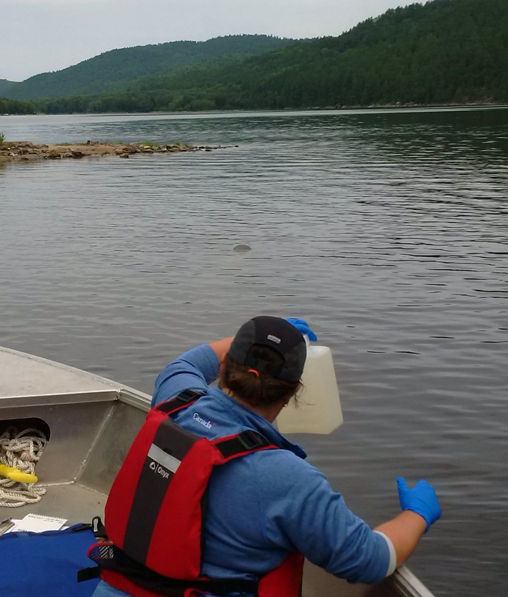 2018 results from <a href="/CNSC_CCSN/">Canadian Nuclear Safety Commission</a>'s Independent Environmental Monitoring Program at NPD, incorporating Indigenous knowledge, confirm that public &amp; environment remain protected nuclearsafety.gc.ca/eng/resources/…