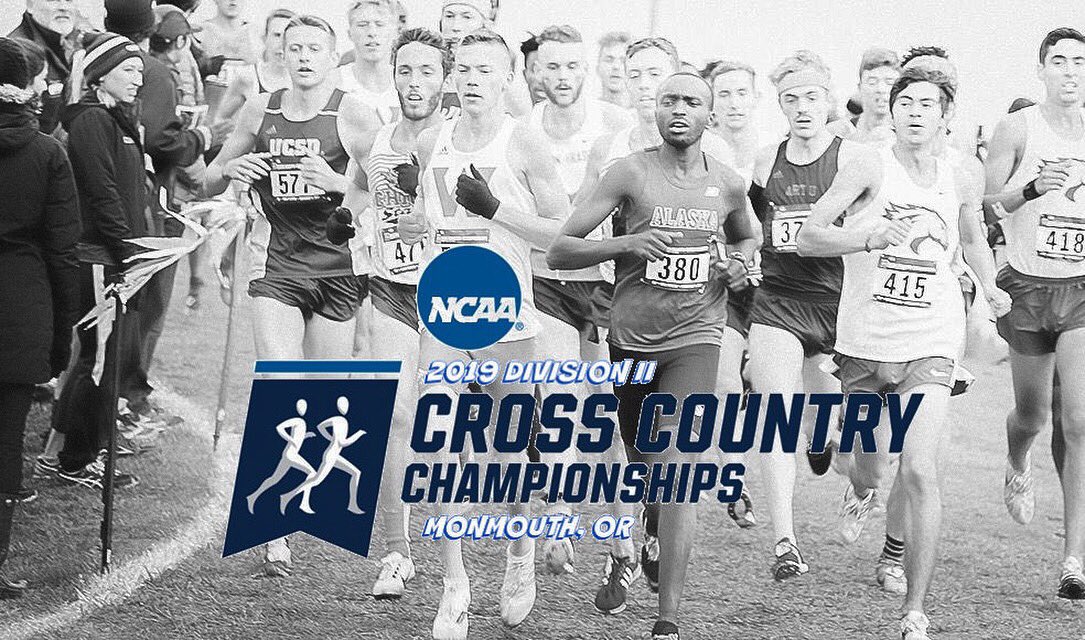 WOU_XCTF's tweet photo. 11 more days until we host the @ncaadii West Regional Championship. On November 9th we welcome over 30 teams from the @GNACsports, @goccaa and @ThePacWest. We hope to see as many Wolf fans out there as possible!
#WOUXC #NcaaDII #NcaaCrossCountry #WOUwolves https://t.co/LwIDI8nPOo