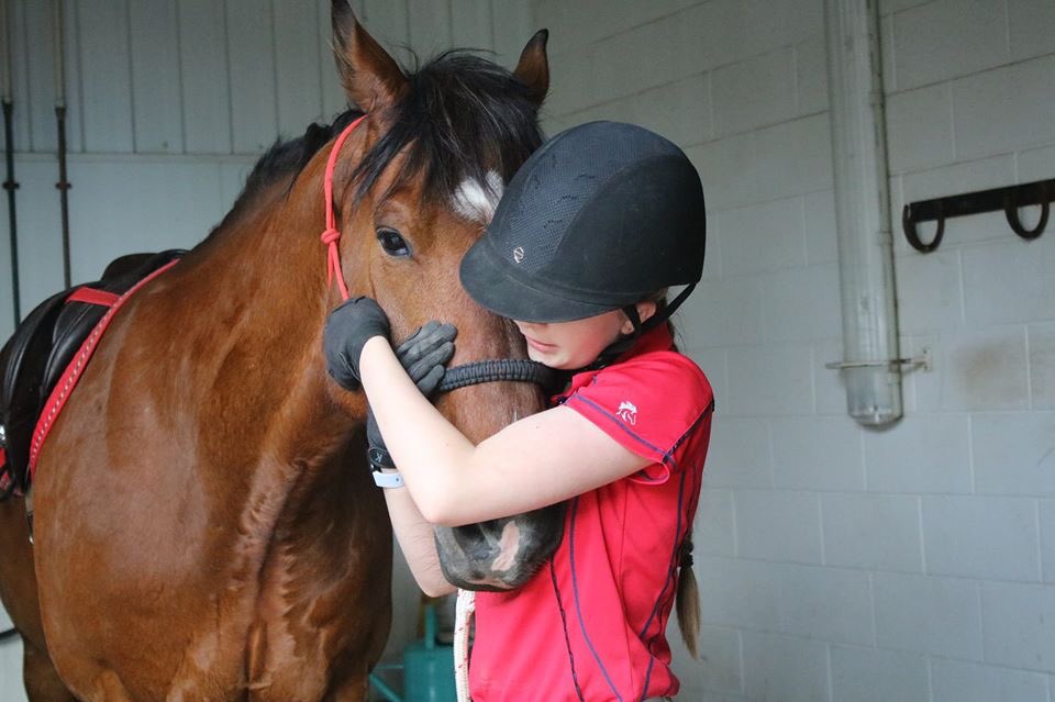 Lethbridge living tweet media