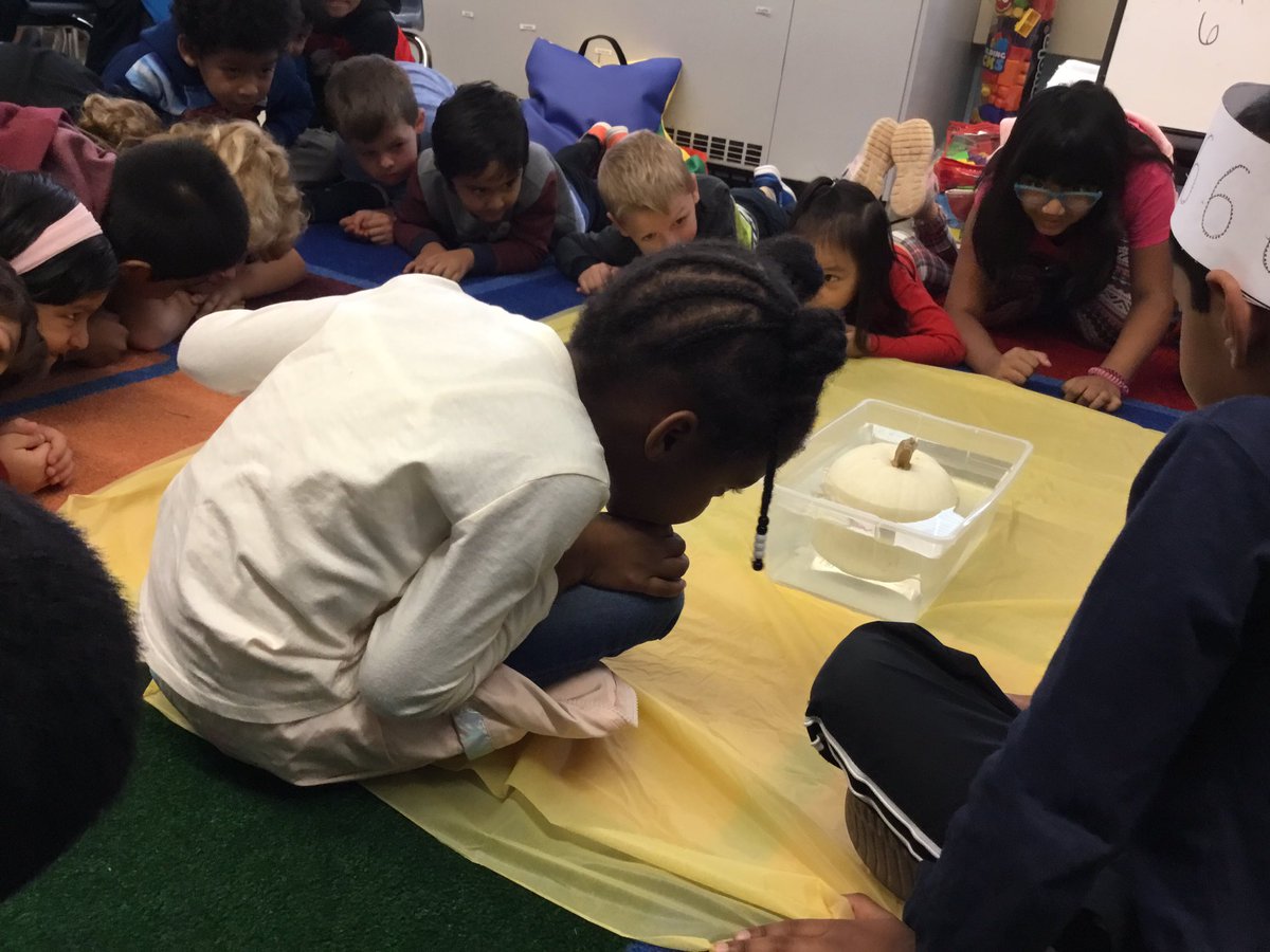 Our science experiment proved that a pumpkin..... floats!  The kids were so excited to test this out with @MissCaggiano class!