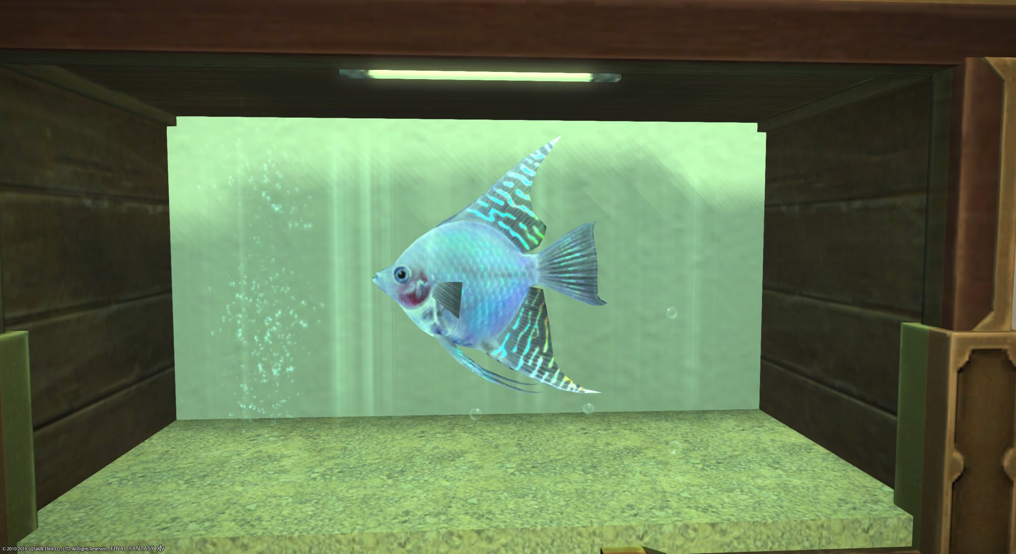 Kai 漆黒エリアの魚もアクアリウムに入れれるように キレイなのが多い 水泡眼 ユールモアバタフライ ノーブルフィッシュ 1番キレイだな と思ったのが罪吐き めっちゃ光ってる Ff14 Ff14ハウジング T Co Wbtnw8fsny Twitter