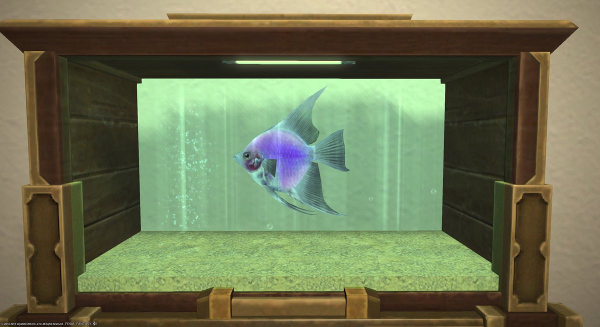 Kai 漆黒エリアの魚もアクアリウムに入れれるように キレイなのが多い 水泡眼 ユールモアバタフライ ノーブルフィッシュ 1番キレイだな と思ったのが罪吐き めっちゃ光ってる Ff14 Ff14ハウジング Kai 漆黒エリアの魚もアクアリウムに入れれるように キレイなのが多い 水泡眼 ユールモアバタフライ ノーブルフィッシュ 1番キレイだな と思ったのが罪吐き めっちゃ光ってる Ff14 Ff14ハウジング