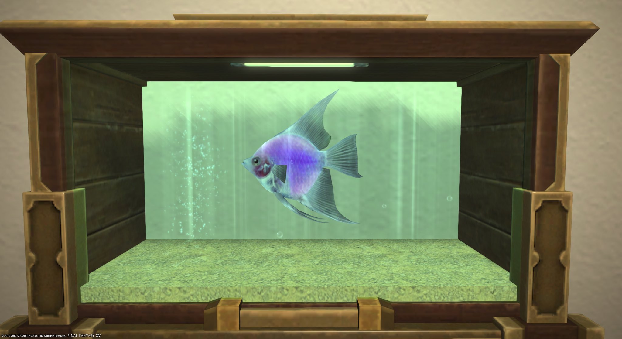Kai 漆黒エリアの魚もアクアリウムに入れれるように キレイなのが多い 水泡眼 ユールモアバタフライ ノーブルフィッシュ 1番キレイだな と思ったのが罪吐き めっちゃ光ってる Ff14 Ff14ハウジング