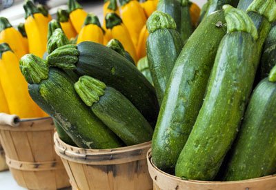 talborne's tweet photo. Growing your own veggies is so rewarding and nutritious, not to mention the wonderful taste of freshly homegrown food. The squash family are firm favourites the world over, and here is how you can grow your own organic squash. 🌱🥒🍆🥦🥕🥔🍠🍈 https://t.co/NIyLV4Rtgt https://t.co/3XrxWVy3sa