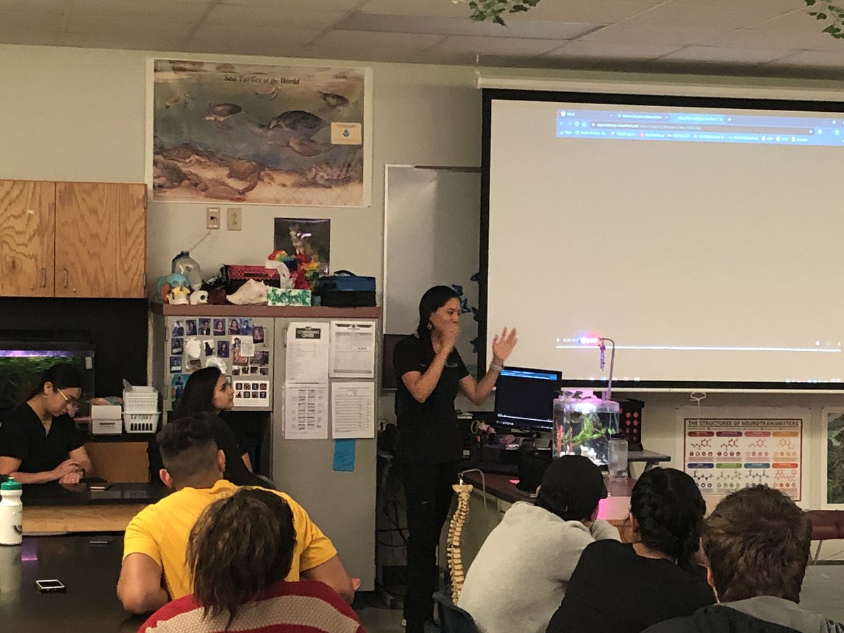 rbough's tweet photo. Students in @MrsArmour_ Anatomy & Physiology classes @LehmanHighLobos are learning about chiropractic medicine from Dr. Hernandez and Dr. Wooldridge from Kyle Family and Injury Chiropractic. #BuildingCommunityPartnerships https://t.co/FIKuxaDwzY