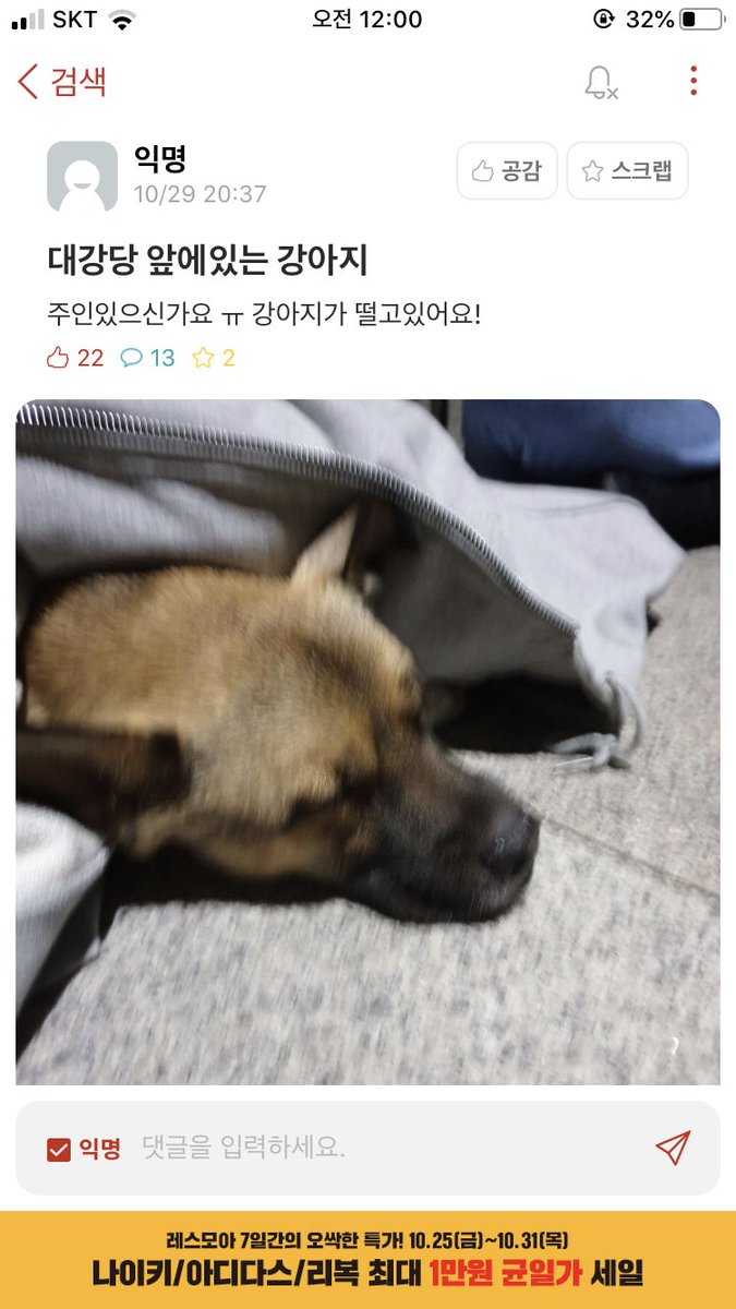 animal_be_free's tweet photo. 이름안가려서 다시올립니다... 학교에 또 어떤 인간새끼가 강아지를 유기한모양입니다... https://t.co/rJy8xe9fu7