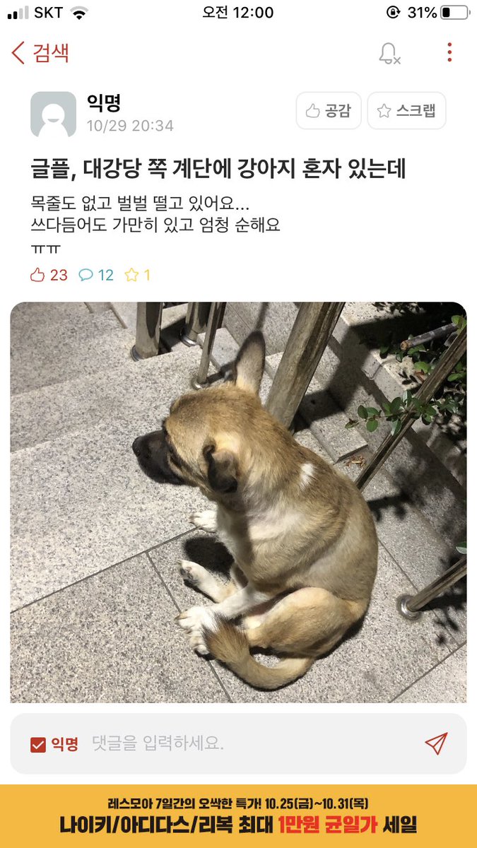 animal_be_free's tweet photo. 이름안가려서 다시올립니다... 학교에 또 어떤 인간새끼가 강아지를 유기한모양입니다... https://t.co/rJy8xe9fu7