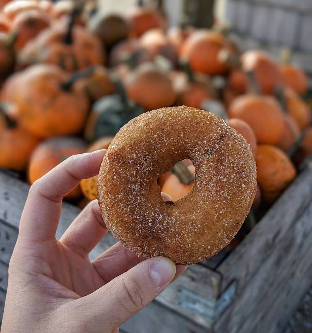 enjoyillinois's tweet photo. Taste the season. 

🔗: https://t.co/hkdB5gaNwi
📸: leahlu95 on Instagram 

@visitchampaign
@VisitLakeCounty
@VisitGalenaOrg
@HeritageCVB
@DeKalbCountyCVB
@VisitAlton
@SpringfieldTrip
@VisitEffingham https://t.co/5EgfySNxI8