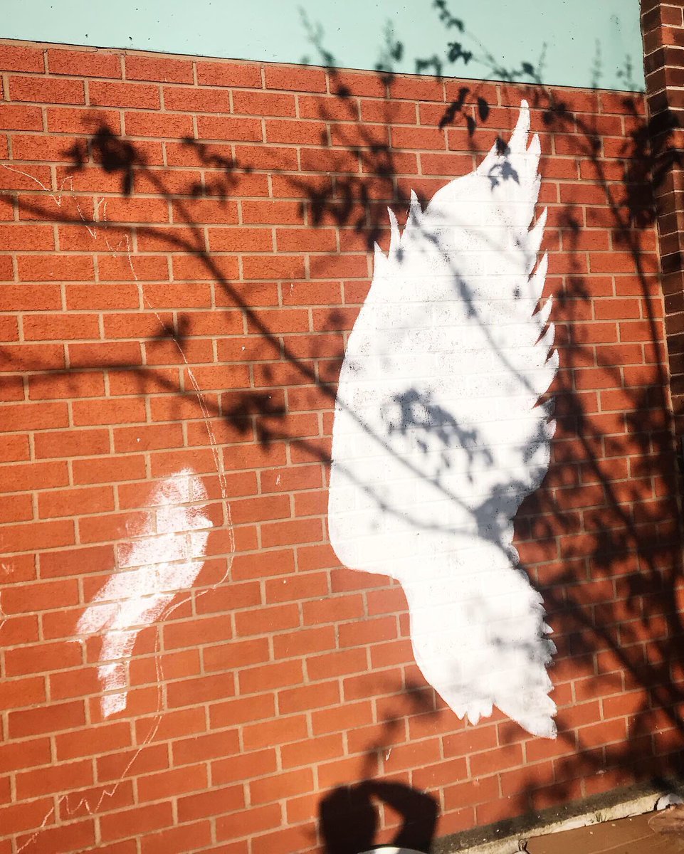 tAg__aRt's tweet photo. @TOGETHER100AHS
The stages of development of our Alsop wings... 👼🏼🦋👼🏼should be complete by tomorrow!
#liverpoolwings #wingsmural #alsopwings #angelmural https://t.co/Q7vWGVZvdi