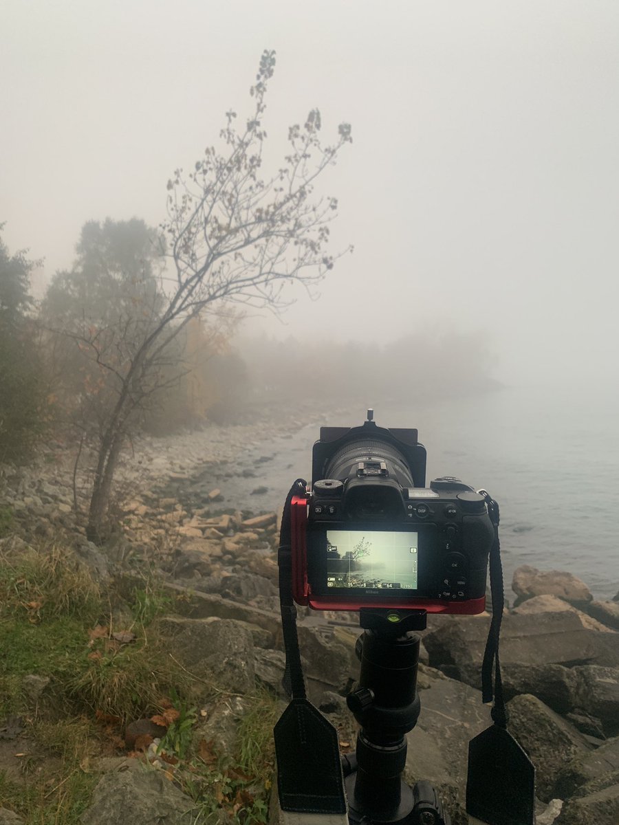 Beth Baisch tweet media