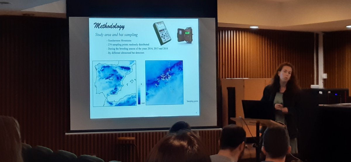 Rafa Barrientos tweet media