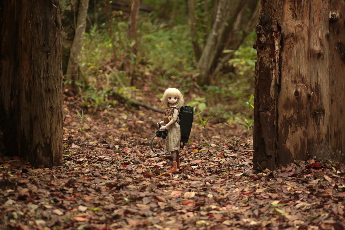 スティールフォレストドール撮影会