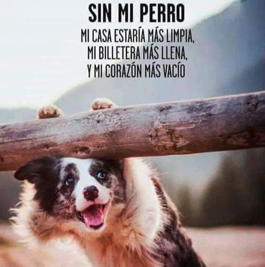 nydiacervera's tweet photo. #FelizMartes @Froggieland @DaliaMRocha @LlGllgina1 @rumabo1 @duky1107 @lasaguis @EEYYYAA @mariluzza @Negra_start @iztalccihuatl @kabena76 @nora_nap @mtz_tt @JohannaLizalde @LETICIA777 @PipianMx @SOSsalchichas @CEIzcuintle @gretakolarik @HuesitosDF @PatyZavalat @raquelgarzac https://t.co/tCOJ9QG8AU
