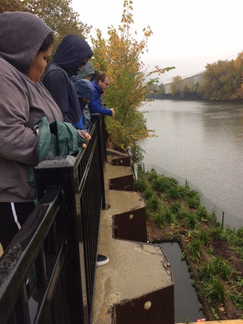 SheddLearning's tweet photo. Our Fall #SheddTeenLab After-School Matters interns visited Shedd's floating islands on the Chicago River this weekend. One of their research projects includes designing Birdhouses to place on these gardens next spring. @Shedd_GL @UrbanRiv @AftrSchoolMttrs https://t.co/0OR5czupk4