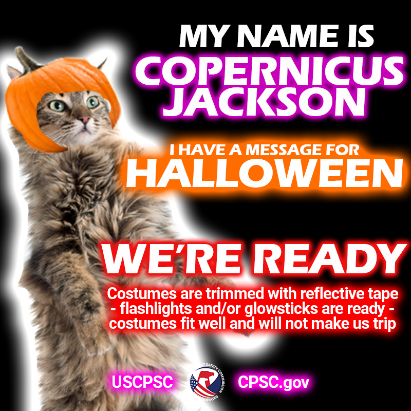 A cat named copernicus jackson. The text: I have a message for halloween. We're ready. Our flashlights have fresh batteries. Our costumes are trimmed with reflective tape. 