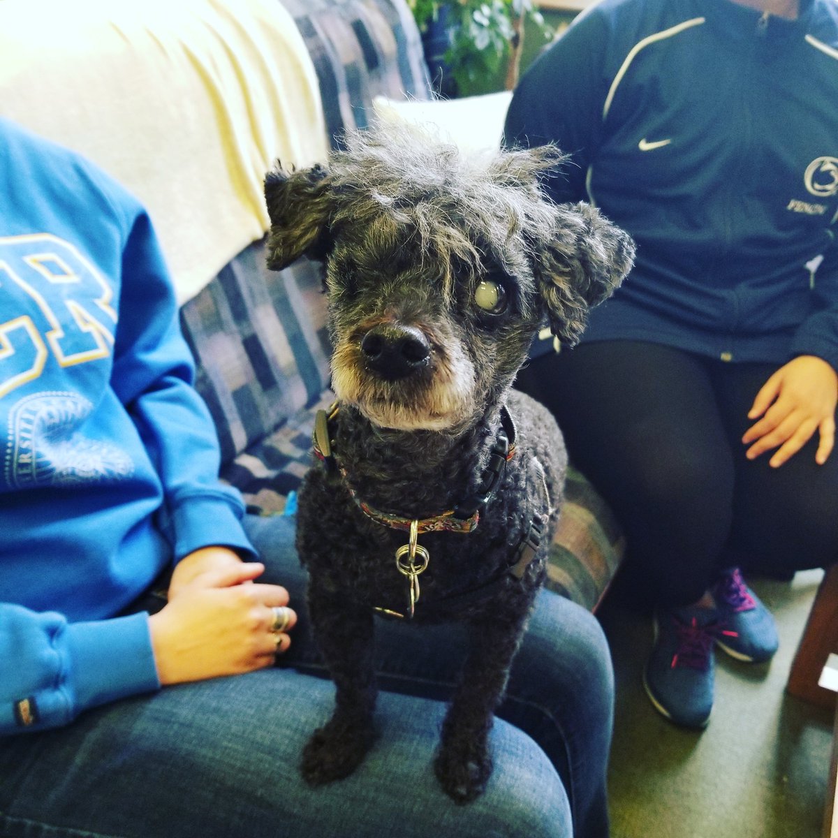 Our favorite client is back in the center today! Come say hello!