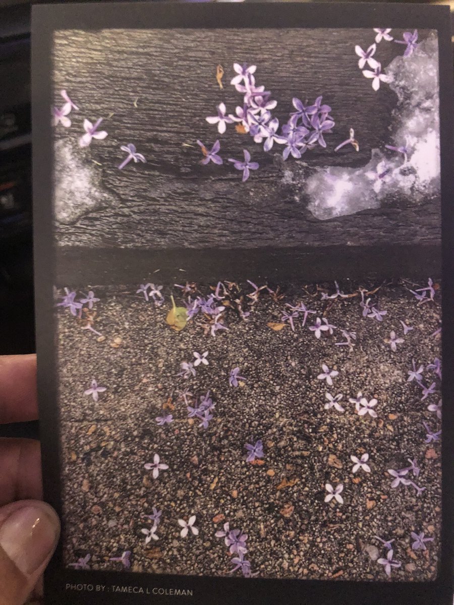 sireneatspoetry's tweet photo. As promised, here are #EnvironmentalConfessions from the last #Untitled2019 with @lynnxe (see comments). 

Also, do you have an #environmentalconfessional you want to share? PM me for anonymous or add in comments, #EnvironmentalConfessions #UntitledDAM #communitypoetry https://t.co/buWLSFnFIk