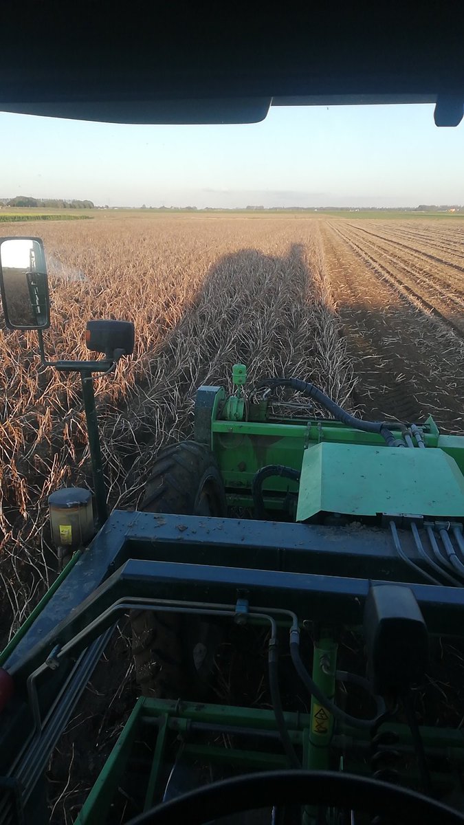 rentmeesteragro's tweet photo. Markiezen rooien onder mooie omstandigheden https://t.co/Hfew7OFTcS
