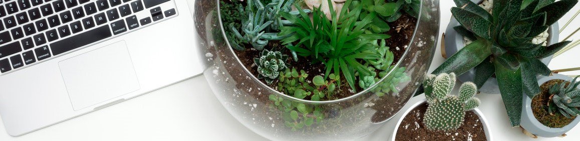 Venti Comms (@venticomms) on Twitter photo Today's blog post inspiration: join in a national event. There are heaps of awareness days out there, from #nationalsandwichday to #stressawarenessmonth. What could your team do to tie in with the events that resonate most with you? bit.ly/34cMyhS Today's blog post inspiration: join in a national event. There are heaps of awareness days out there, from #nationalsandwichday to #stressawarenessmonth. What could your team do to tie in with the events that resonate most with you? bit.ly/34cMyhS