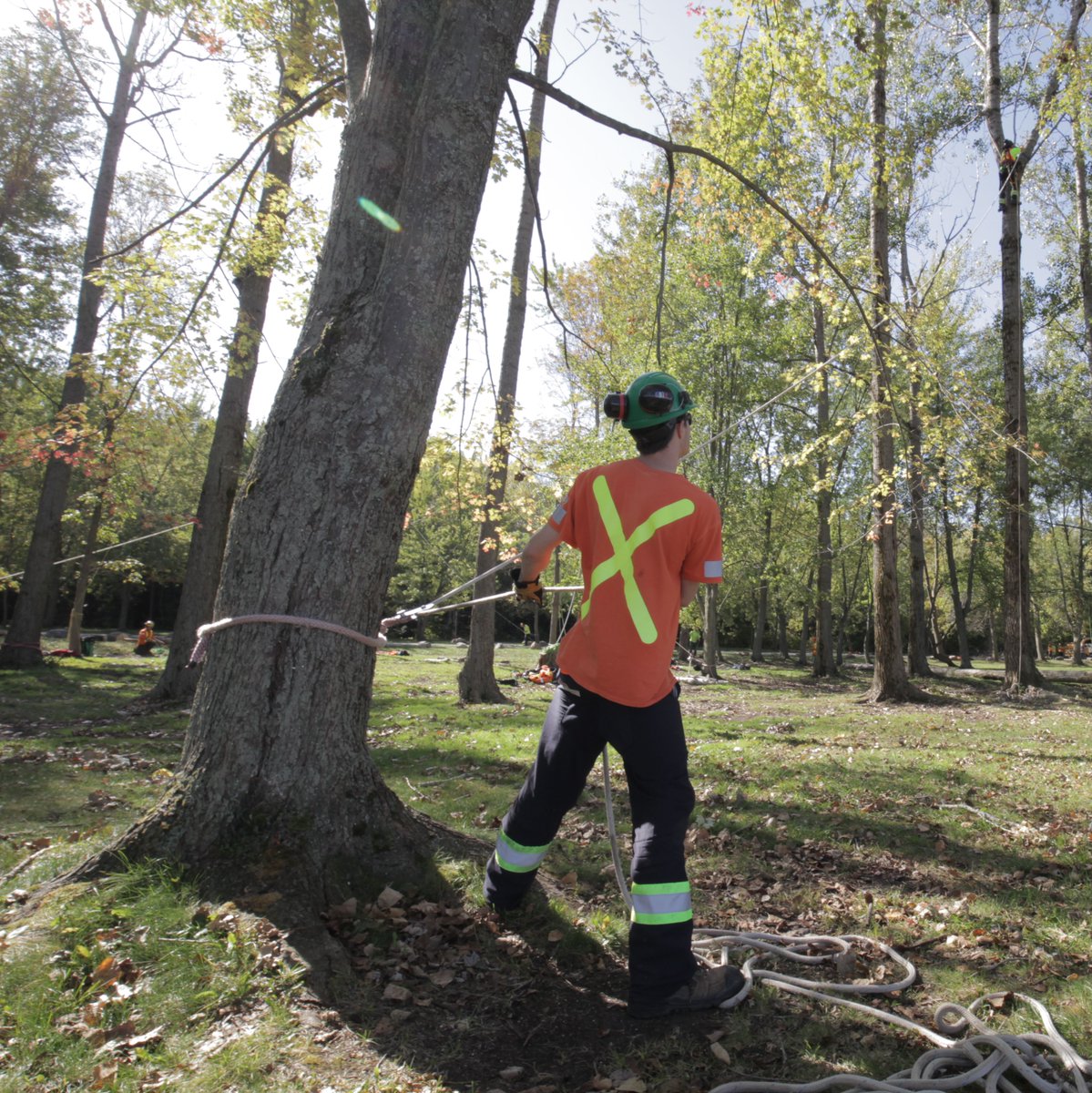 Fleming College tweet media