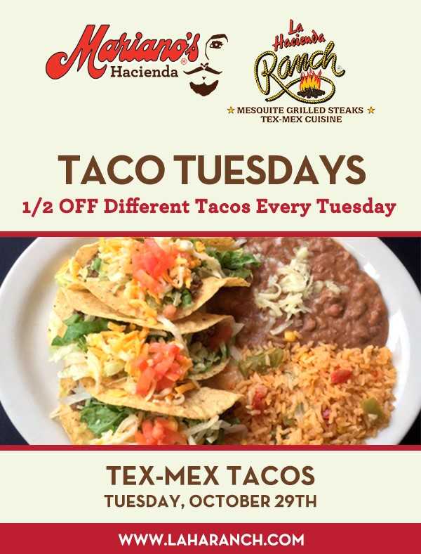 When Professionals Run Into Problems With Mexican cuisine, This Is What They Do