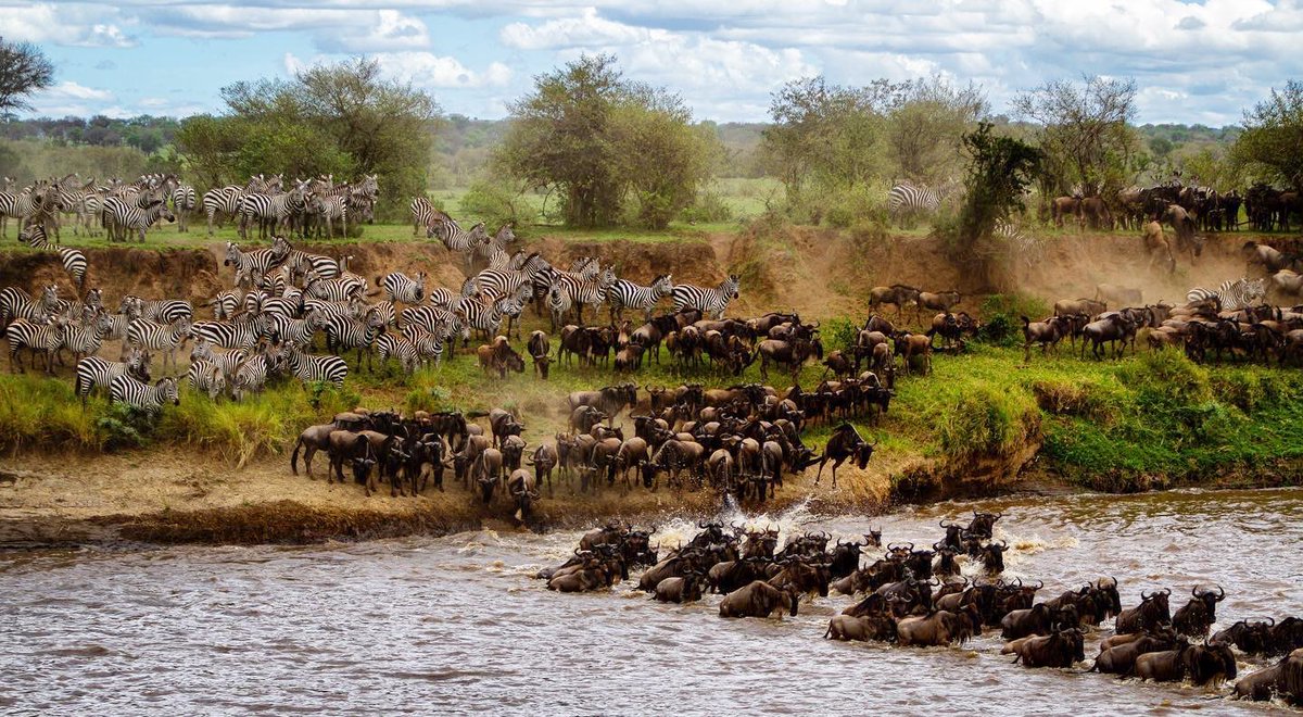 andBeyond tweet media