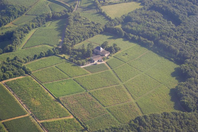 MM #51 -  Tomorrow, October 30 @Alden &amp; Harlow w/ France Crispeels - mailchi.mp/217d77147193/m…