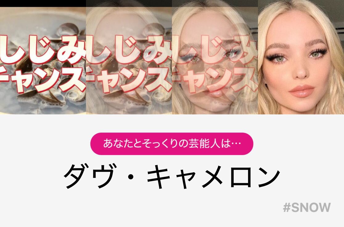 クリソツノース